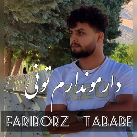 دانلود آهنگ جدید فریبرز تبابه دارمو ندارم تونی